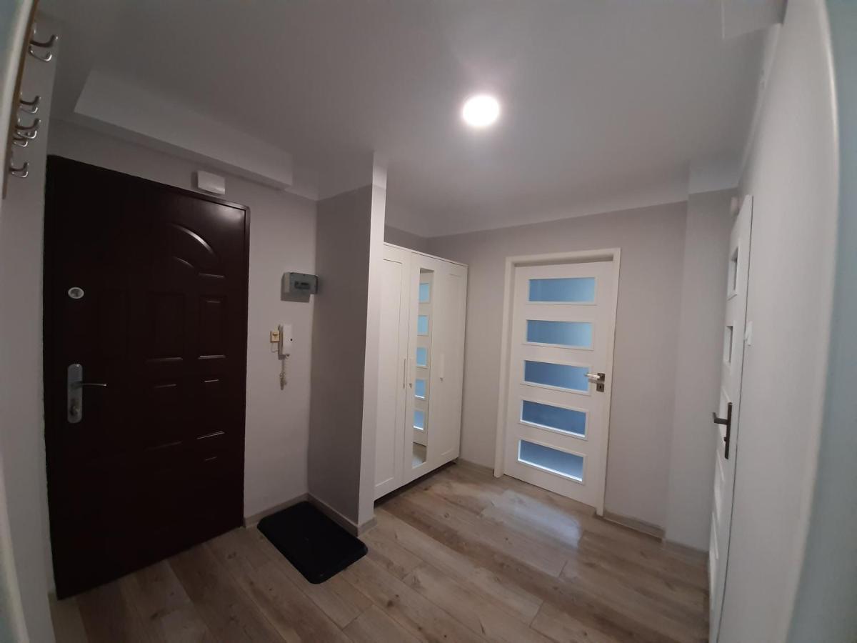 Zielony Apartament, Kielce, Targi, Centrum Buitenkant foto